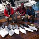 father n sons catch